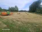 Kleine pakjes hooi, Dieren en Toebehoren, Dierenvoeding, Ophalen
