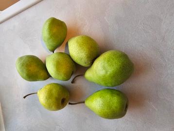 Peren Gratis beschikbaar voor biedingen