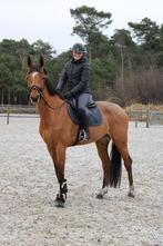 Trainen, uitbrengen en zadelmak maken