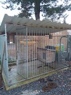 Chiens avec cage, Animaux & Accessoires, Enlèvement