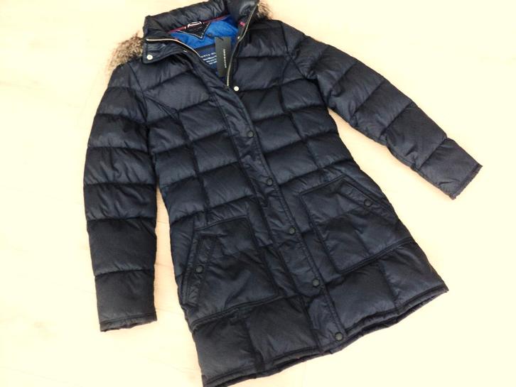 Winterjas Tommy Hilfiger L, Kleding | Dames, Jassen | Winter, Nieuw, Maat 38/40 (M), Blauw, Ophalen of Verzenden