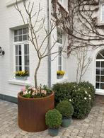 Cortenstaalpot cilinder 80x100, Tuin en Terras, Ophalen, Zo goed als nieuw