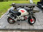 PBR monkey R 140cc (papieren 125cc), Motoren