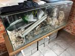 2 Aquariums om te kweken: 150-50-60 + 100-30-40, Ophalen, Gebruikt, Leeg aquarium