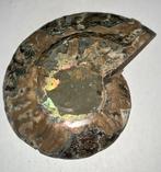 Halve Ammoniet snede(opaalachtig effect) - 95gram - 90x78x12, Ophalen of Verzenden, Fossiel