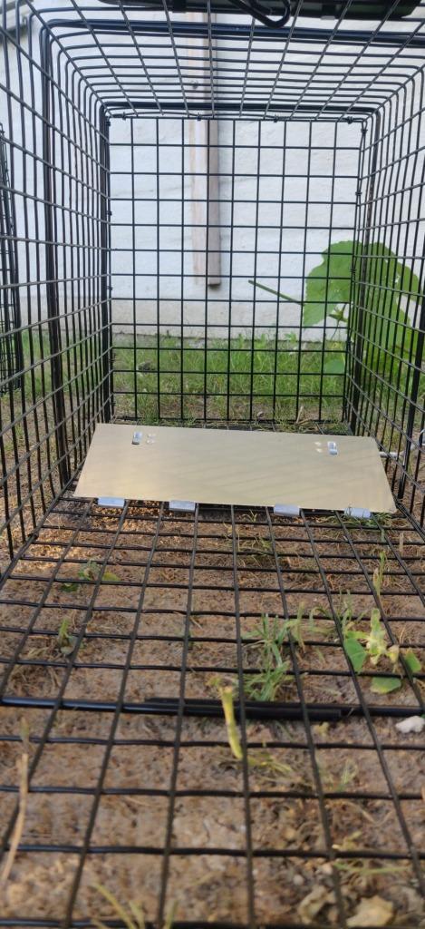 4 VALLEN MARTERVAL VOSSENVAL EKSTERVAL RATTENVAL, Dieren en Toebehoren, Knaagdieren