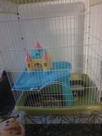 Cage pour rongeur , ou hamster avec  tout les accessoires, Animaux & Accessoires, Enlèvement ou Envoi, Neuf, Cage