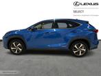 Lexus NX 300H Privilege Line & Pano & Mark L, Auto's, Lexus, Automaat, 114 kW, 2487 cc, Blauw