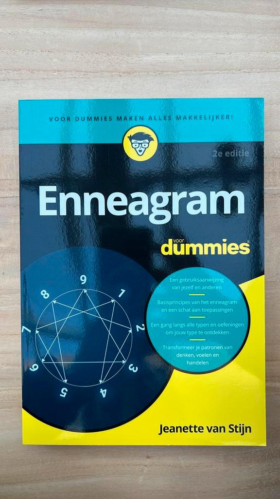 Jeanette van Stijn - Enneagram voor Dummies, 2e editie, Livres, Psychologie, Neuf, Enlèvement ou Envoi