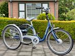 Tricycle électrique TEI-BIKE Flash bicycle en parfait état, Comme neuf, Autres marques, Enlèvement ou Envoi, 50 km par batterie ou plus