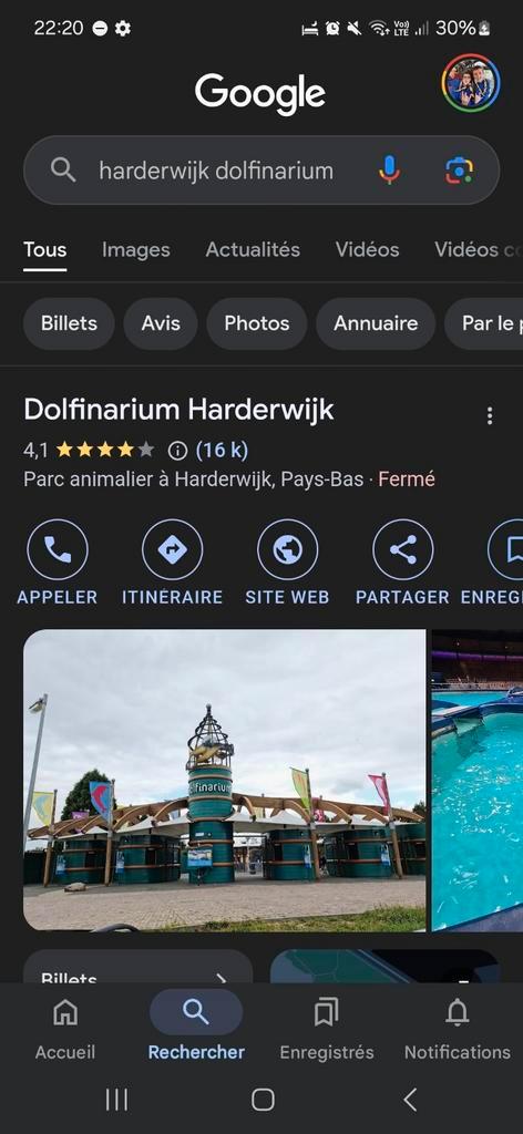 2 entreekaarten voor het Dolfinarium - Harderwijk, Tickets en Kaartjes, Recreatie | Dierentuinen