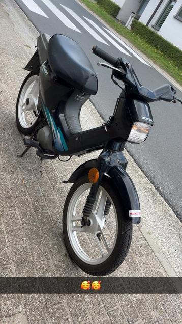 Honda wallaroo a klasse met papieren, Enlèvement, Utilisé, Classe A (25 km/h), 50 cm³