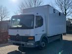 Mercedes Atego Paarden Vrachtwagen voor 3 of 4 Paarden Airco, 3-paards trailer, Gebruikt, Ophalen, Aluminium