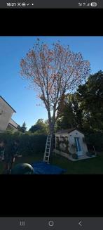 Landschapstuinier, Tuin en Terras, Ophalen