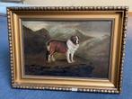 Te koop: St Bernard hond 1887- M. Atkinson, Enlèvement