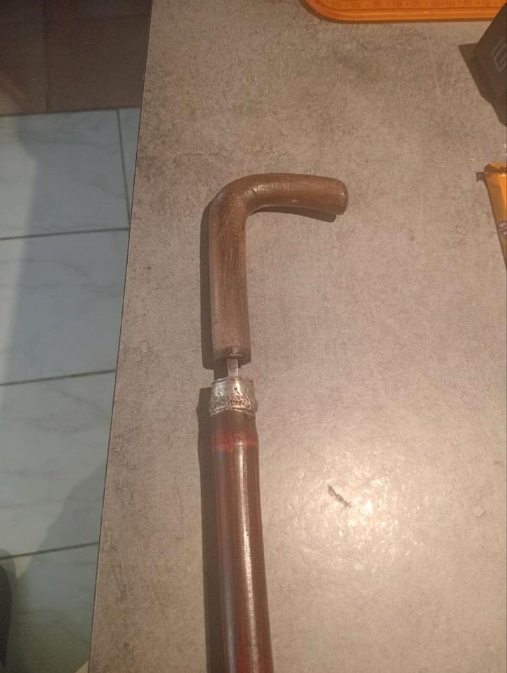 Canne, Divers, Bâtons de marche