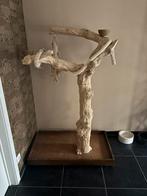 Java boom groot, Dieren en Toebehoren, Ophalen, Zo goed als nieuw