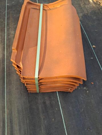 Edilians panne S - Rood rustiek beschikbaar voor biedingen