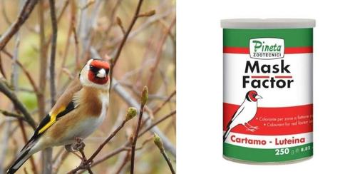 Mask Factor 250 Gram - Pineta Zootecnisi, Dieren en Toebehoren, Vogels | Overige Vogels