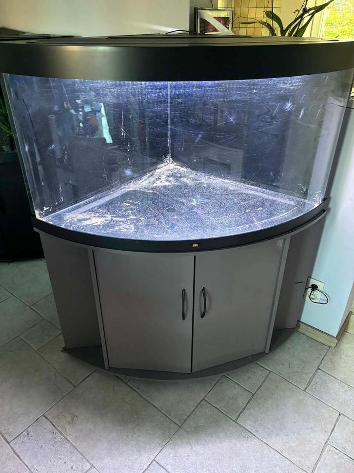 Aquarium d'angle Trigon 350, Dieren en Toebehoren, Vissen | Aquaria en Toebehoren, Gebruikt, Leeg aquarium, Ophalen
