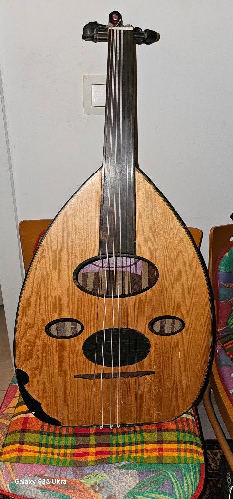 Luit, Muziek en Instrumenten, Snaarinstrumenten | Mandolines, Ophalen