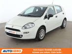 Fiat Punto 1.2 Basis (année de construction 2018), Autos, 1242 cm³, Achat, 69 ch, Boîte manuelle