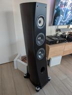 Pioneer TAD S-3EX speakers donker hout 1 paar, Audio, Tv en Foto, Luidsprekerboxen, Ophalen