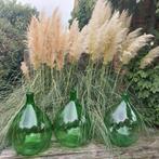 Grasgroen Dame Jeanne, Tuin en Terras, Ophalen