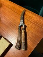 Solingen antieke vleesschaar, Enlèvement