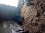 Konijne de koop grote en kleine, Dieren en Toebehoren, Schapen, Geiten en Varkens