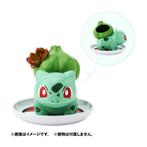 Bulbasaur pokemon succulent pot, Ophalen, Nieuw