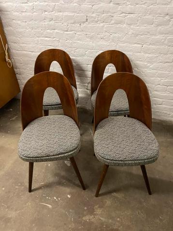 Set van 4 vintage Antonin Suman stoelen beschikbaar voor biedingen