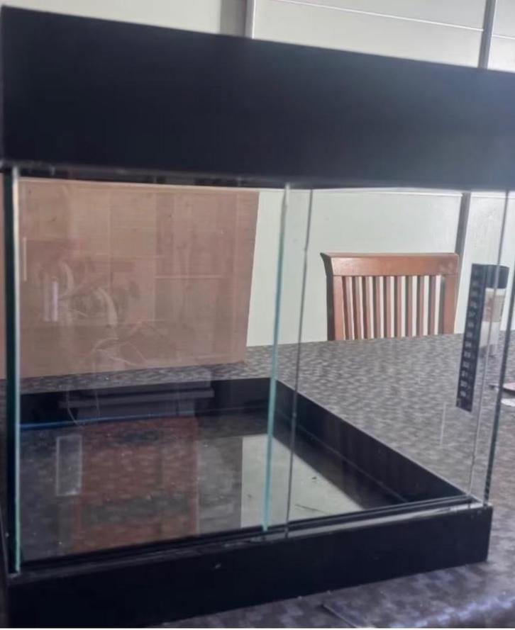 Terrarium 40x40cm en verre, Dieren en Toebehoren, Reptielen en Amfibieën | Toebehoren, Ophalen of Verzenden