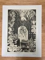 Willy wouters - litho, Ophalen of Verzenden