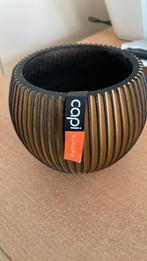 Bloempotje Capi europe, Tuin en Terras, Ophalen of Verzenden, Zo goed als nieuw