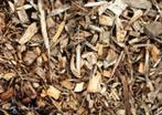 Gezocht : Gratis houtsnippers als bedekking vr permacultuur