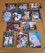 Lot de 12 cartes postales : chat, chats, chatons, Collections, Enlèvement ou Envoi, 1980 à nos jours, Non affranchie, Chien ou Chat