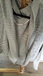 Zara vest, Zara Gilet, beige gilet, knitted vest, Beige, Maat 38/40 (M), Ophalen of Verzenden, Zo goed als nieuw