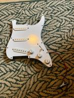Loaded pickguard, Ophalen of Verzenden, Nieuw, Elektrische gitaar