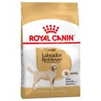 Royal Canin Labrador Retriever Adult, Animaux & Accessoires, Envoi, Chien