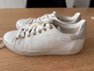 Witte Högl schoenen maat 36, Enlèvement ou Envoi