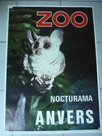 poster affiche zoo antwerpen anvers, Verzamelen, 1960 tot 1980, Gebruikt, Dier, Prent