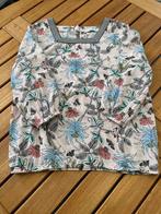 Blouse Hampton Bays, Hampton Bays, Ophalen of Verzenden, Zo goed als nieuw, Maat 36 (S)