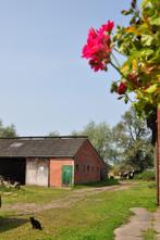 Rustige kleinschalige pensionstalling, Dieren en Toebehoren, Stalling, 1 paard of pony