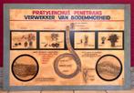 Panneau universitaire vintage 'Pratylenchus penetrans', Antiquités & Art, Enlèvement, Nature et Biologie