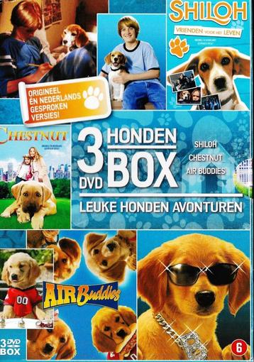 Hondenbox beschikbaar voor biedingen