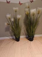 2 kunst pampasplanten, Enlèvement, Autres espèces, En pot, 100 à 150 cm