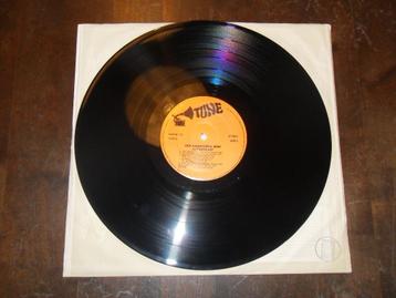 Katastroof - Den aanhouwer wint, Cd's en Dvd's, Ophalen of Verzenden, Gebruikt, 12 inch, Levenslied of Smartlap