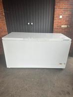 Diepvries liebheer  A+ wan 600 liter, Ophalen of Verzenden