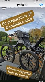 Voiture Solo, Dieren en Toebehoren, Rijtuigen en Koetsen, Zo goed als nieuw